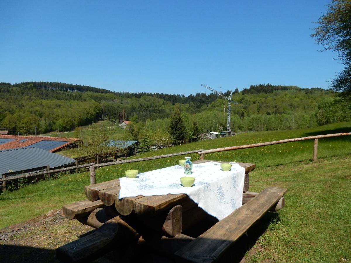 Cosy Holiday Home With Garden In Walscheid Dış mekan fotoğraf