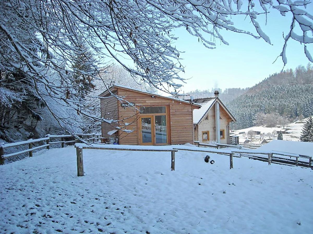 Cosy Holiday Home With Garden In Walscheid Dış mekan fotoğraf