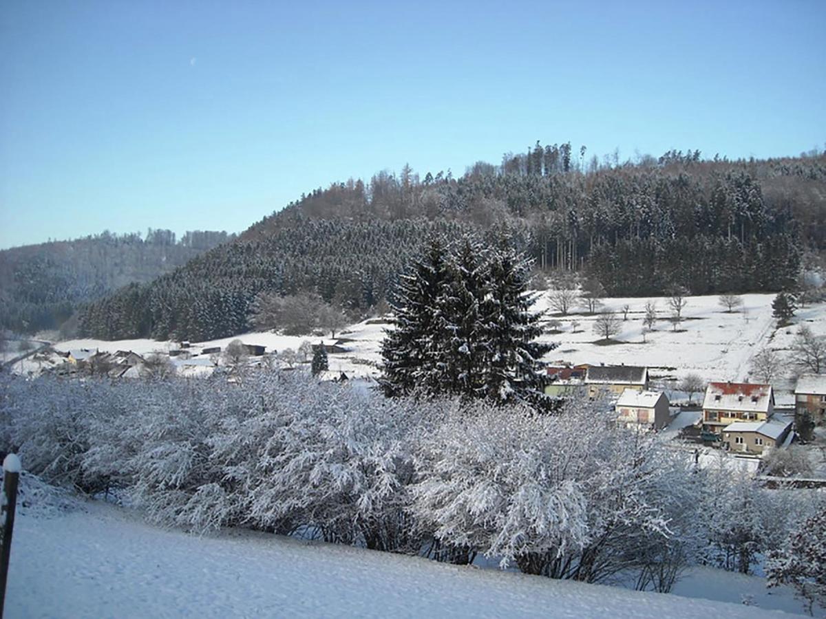 Cosy Holiday Home With Garden In Walscheid Dış mekan fotoğraf