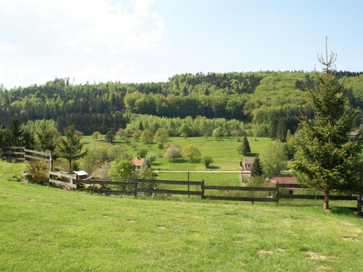 Cosy Holiday Home With Garden In Walscheid Dış mekan fotoğraf